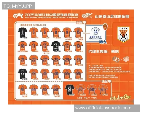 2025赛季中超联赛16队观众人数差异分析揭示上座率悬殊情况